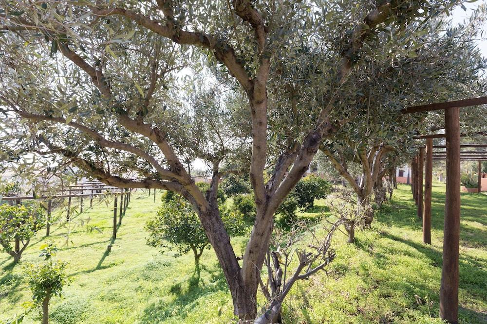Residence Esmeraldo Capo Vaticano Kültér fotó