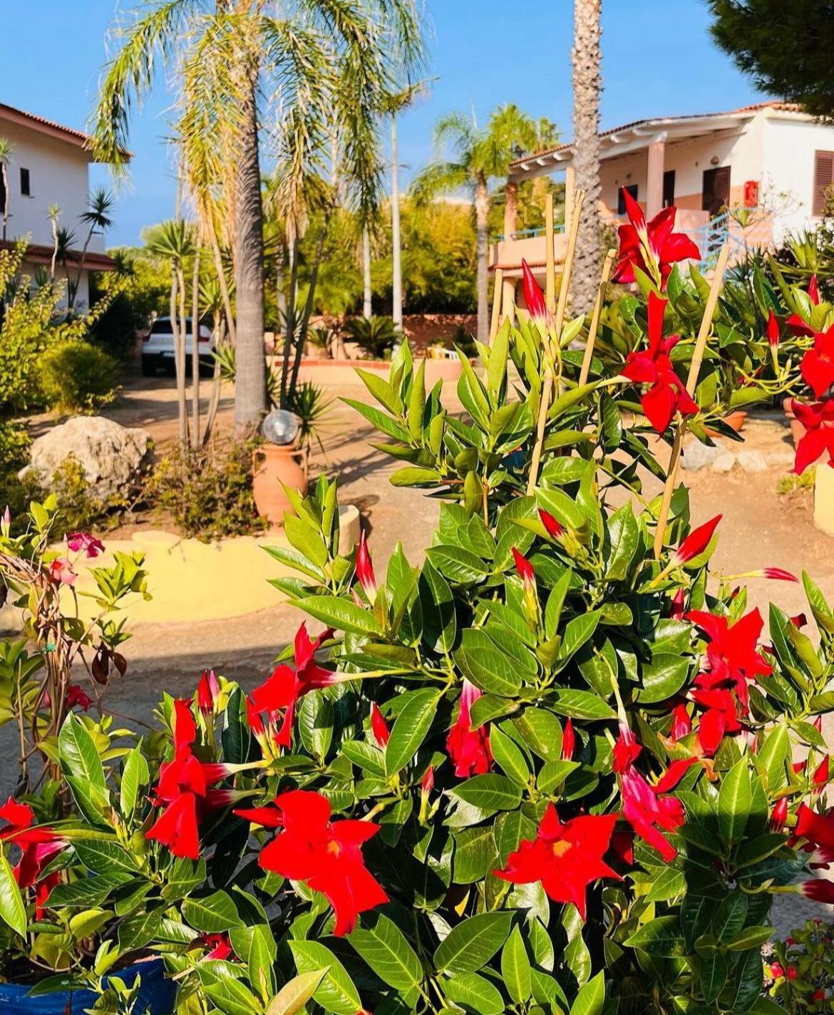 Residence Esmeraldo Capo Vaticano Kültér fotó